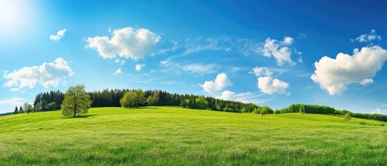 Obraz premium Bright and serene meadow with lush green grass, trees, and a vibrant blue sky with white clouds.