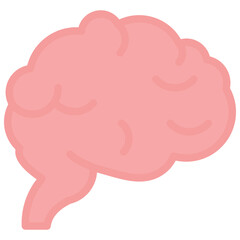 Brain Icon