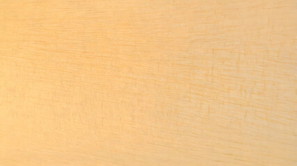 Light Wood Grain Texture