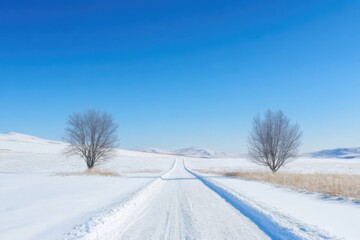 Obraz premium Snow covered road stretching into the horizon with leafless trees on either side, under a clear blue sky.