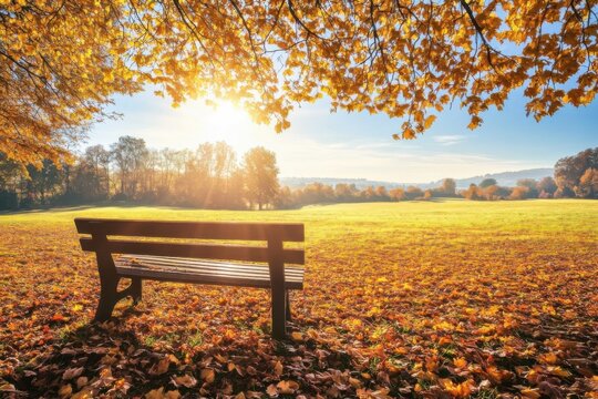 A serene park scene in autumn with a bench under a tree, golden leaves, and a sunny atmosphere.
