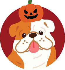 Flat colored Halloween English Bulldog in a circle icon