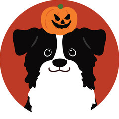Flat colored Halloween Border Collie in a circle icon