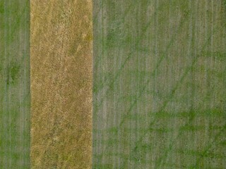 Agriculture field crops drone aerial inspection, soil health check, irrigation conditions, wheat corn aerial view