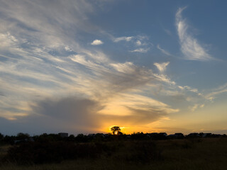 sunset in the desert