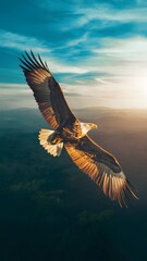 Obraz premium Philippine Eagle Flying with Blue Sky Background, Realistic Photo, Pattern Background, Wallpaper, Cover and Screen for Smartphone, Cell Phone, Computer, Laptop