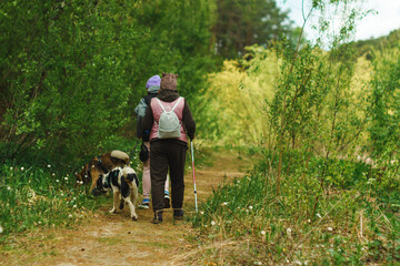 Fototapeta premium Two hikers walk a dog on a forest trail surrounded by greenery in the late afternoon