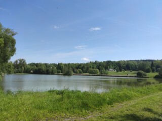 lake in the forest in summer in the Czech Republic 