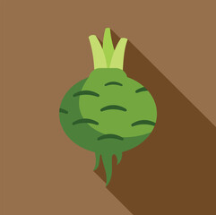 Green kohlrabi vegetable casting a long shadow on a brown background