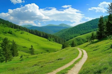 Mountain Trail Scenery