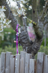 Schrein mit Zauberflaschen