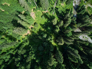 Drone flight in the mountains taking pictures of fir trees, river and road in Jiet, Hunedoara Romania