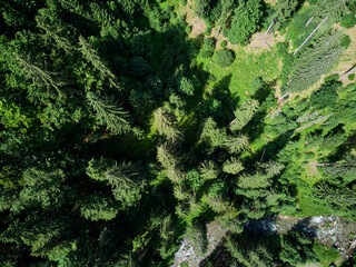 Drone flight in the mountains taking pictures of fir trees, river and road in Jiet, Hunedoara Romania
