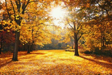 Fototapeta premium A sunlit forest in autumn, with leaves turning shades of gold and orange, creating a warm and inviting atmosphere.