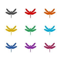 Dragonfly icon isolated on white background. Set icons colorful