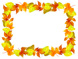 autumn leaves frame