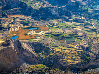 colca canyon
