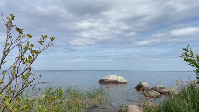 Nature at a lake during August. Hindens rev, V&auml;nern, Sweden.