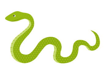 Fototapeta premium 緑の蛇のイラスト 