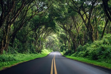 Obraz premium Enchanted Forest Road