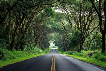 Obraz premium Enchanted Forest Road