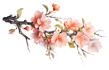 Peach flowers, a blooming branch with pink flowers