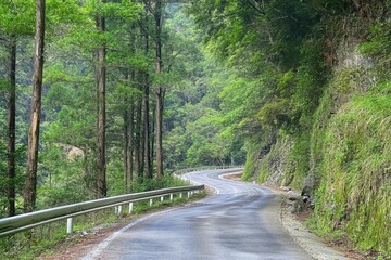 Fototapeta premium A winding road through a dense green forest under an overcast sky.