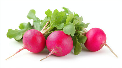 radish isolated on white background 