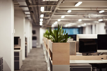 Empty office, interior and design for creative business, co working space and computer of agency...