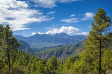 Fototapeta premium Mountainous Landscape with Pine Trees