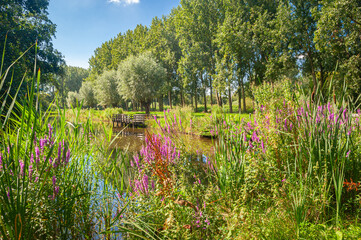 Fototapete bei efototapeten.de bestellen   