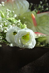 white chocolate cake with mint