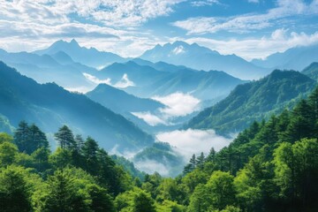 Fototapeta premium Misty Mountain Range