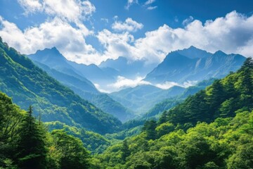 Mountainous Landscape
