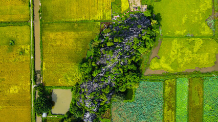 Rice fields and mountains in Ninh Binh, Vietnam, seen from above
