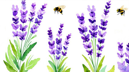 Naklejka premium Watercolor botanical illustration. Seamless banner with purple lavender wildflowers and bumblebees.