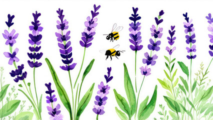Fototapeta premium Watercolor botanical illustration. Seamless banner with purple lavender wildflowers and bumblebees.