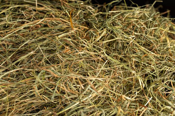Dehydrated Dried Grass for hay production in agriculture