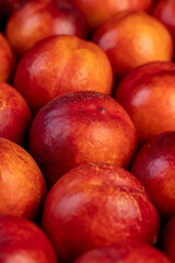 a large number of ripe soft nectarine fruits on the table