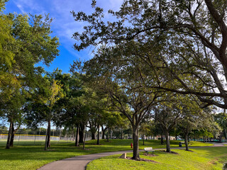 day in park