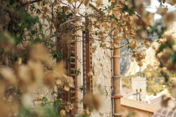 A rustic window framed by vines and dried leaves on an old stone building. A hidden corner in Moustiers-Sainte-Marie, Provence, France