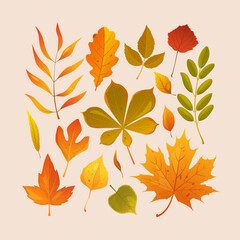 Vector cartoon autumn leaves poster of different types isolated on light background.
