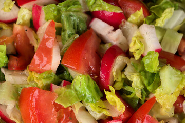 Salat mir Tomaten, Radieschen, Paprika und Zwiebel