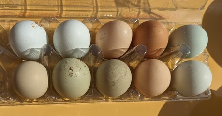 Wei&szlig;e, blaue, gr&uuml;ne und braune Eier im Karton 