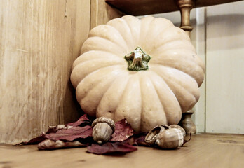 pumpkin and red leaves