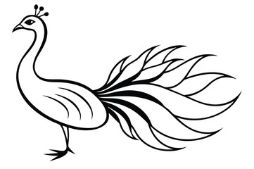 peacock style rangoli design vector silhouette 