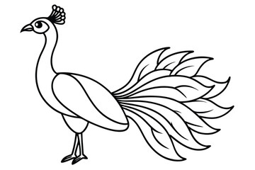 peacock style rangoli design vector silhouette 