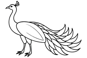 peacock style rangoli design vector silhouette 