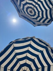 Holiday in the Sun