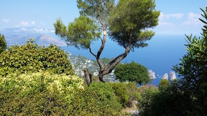 Capri